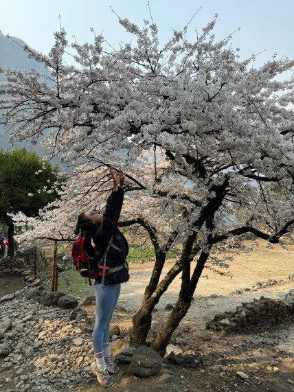 Blooming Beauty in the Himalayas